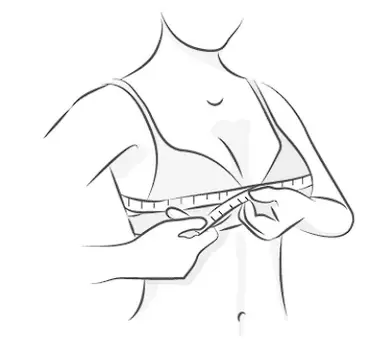 Bust measurement illustration